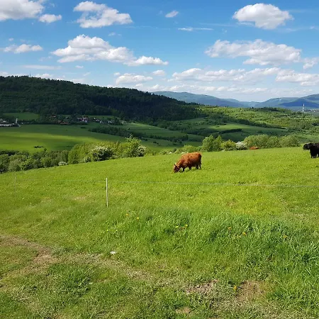 Grojcowka * Żywiec